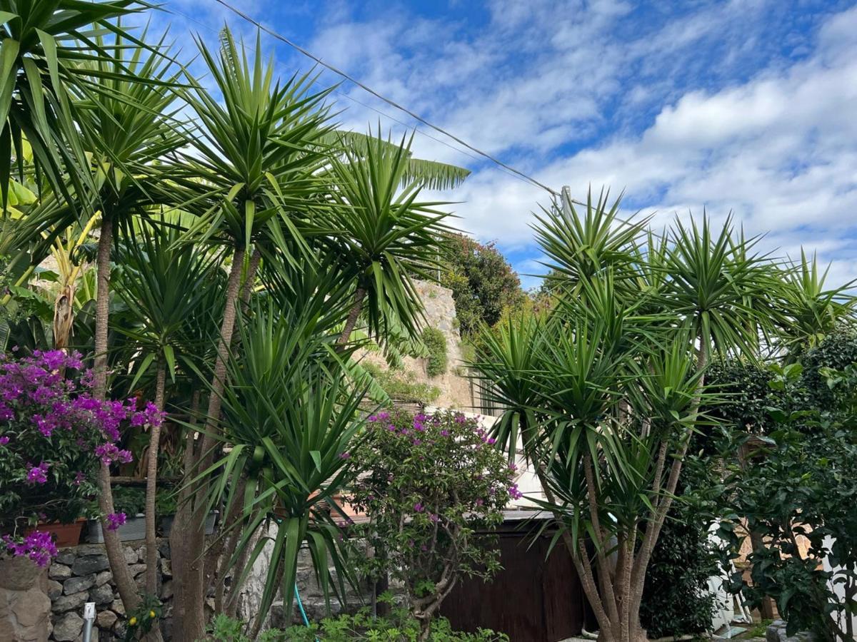 Blue Dream - Amalfi Coast Villa Conca dei Marini Buitenkant foto